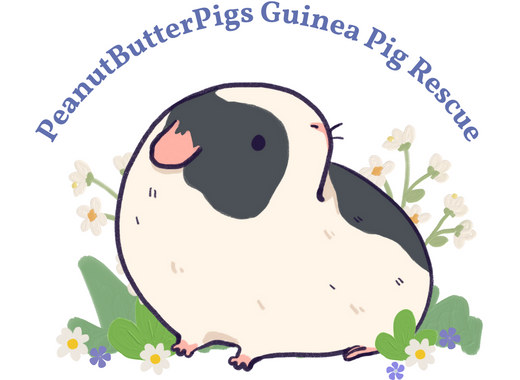 PeanutButterPigs Guinea Pig Rescue