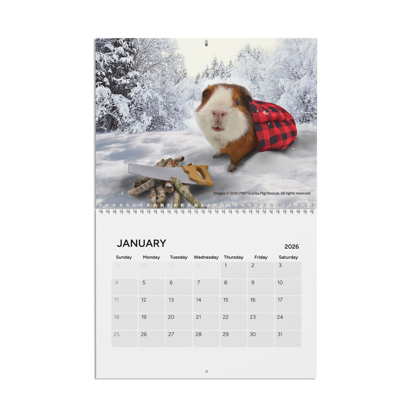 PeanutButterPigs Guinea Pig Rescue 2026 Fundraiser Calendar