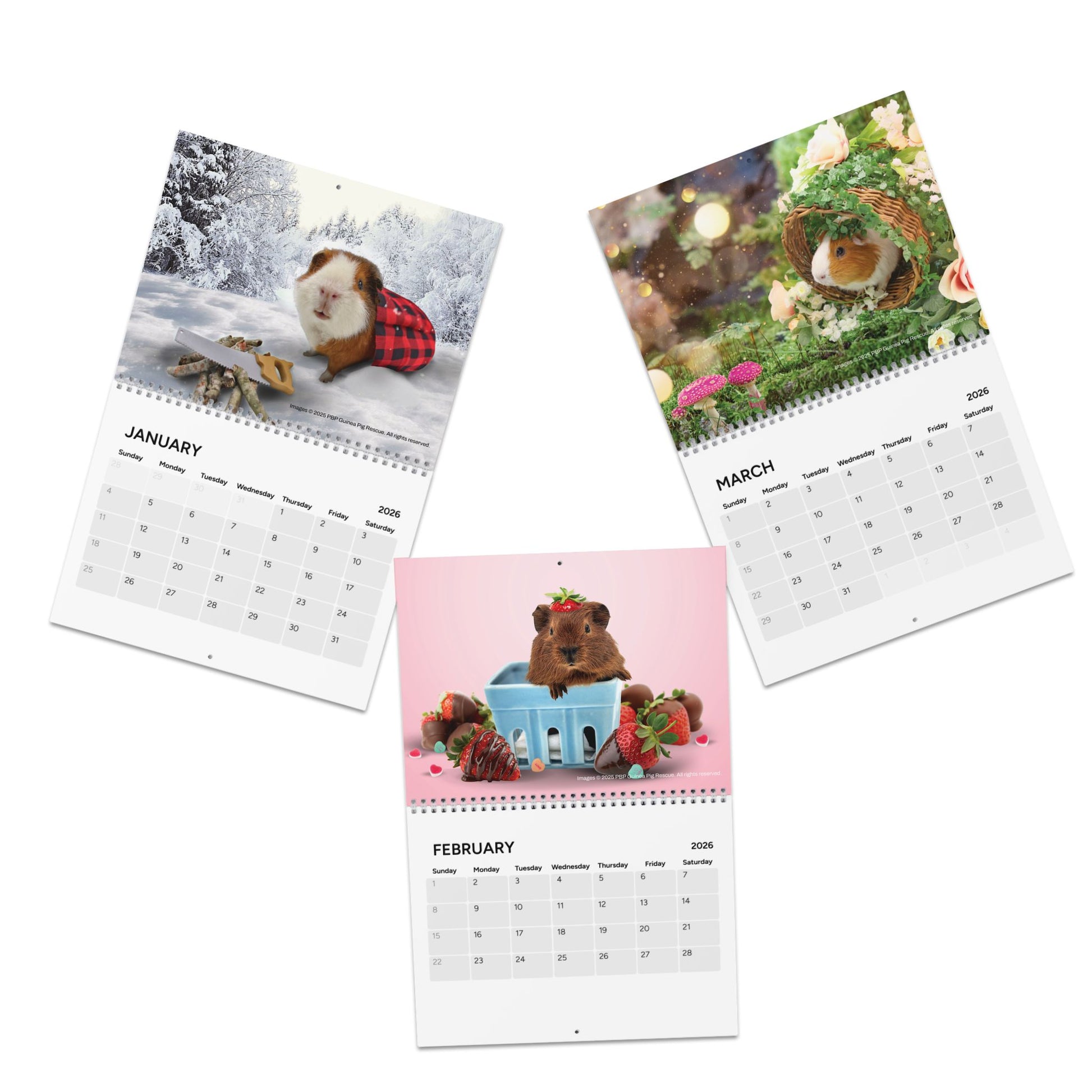 New PeanutButterPigs Guinea Pig Rescue 2026 Fundraiser Calendar